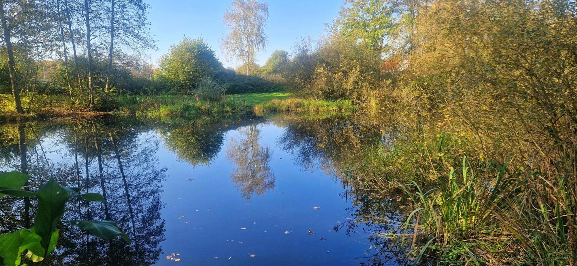 Ferienwohnung Landlicht Mit Terrasse In Ruhiger Lage Sulingen Luaran gambar